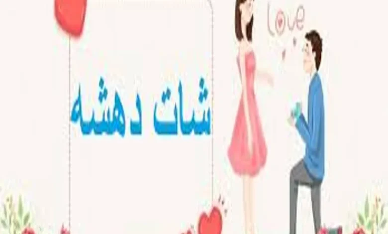 شات الشاعر – دردشة عربية فورية لعشّاق الكلمة والفن